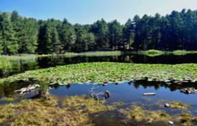 Randonnée Lac de Creno