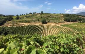 Clos Alzeto